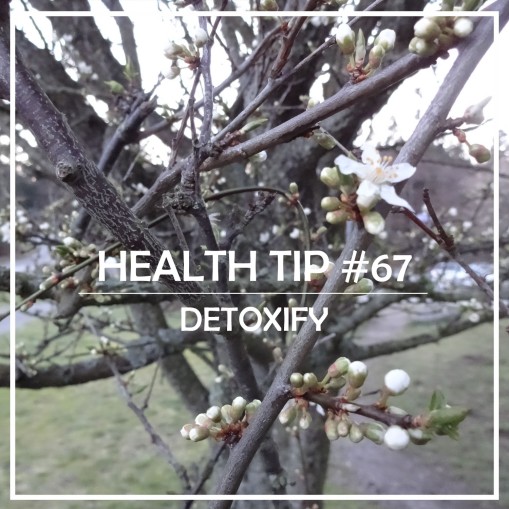 Health Tip 67